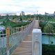 Karatay Şehir Parkı - Biyolojik Gölet